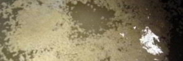 пицца с колбасой