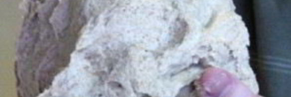 пицца с колбасой