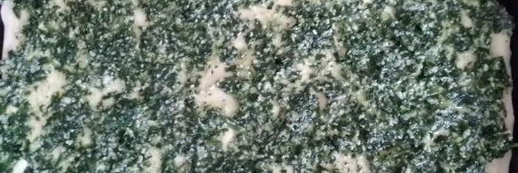 пицца с зеленым соусом, курицей и моцареллой