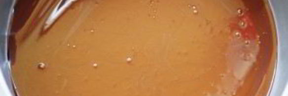 шоколадная пицца