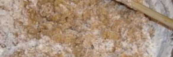 медовые пряники