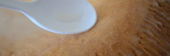 настоящий тульский пряник