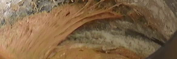 русские заварные медовые пряники