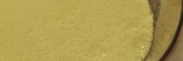 шарлотка из яблок в духовке