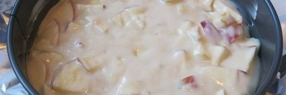 шарлотка неправильная