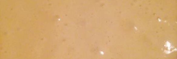 шарлотка с апельсинами