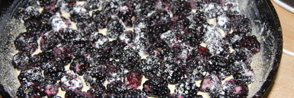 шарлотка с ежевикой