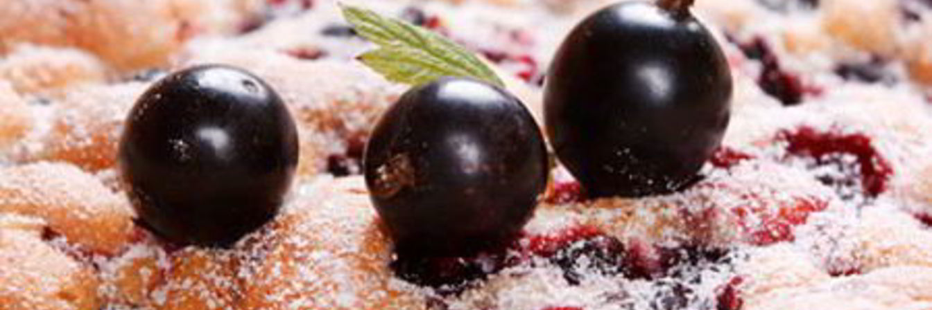 Шарлотка со смородиной