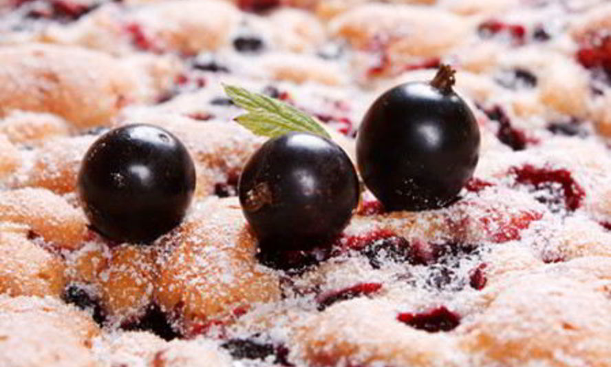 Рецепт шарлотки со смородиной