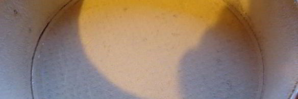 шарлотка яблочная