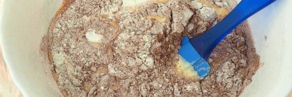 шоколадная шарлотка с ягодами