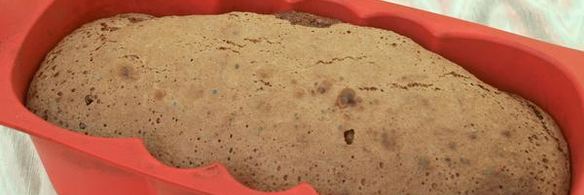 шоколадная шарлотка с ягодами