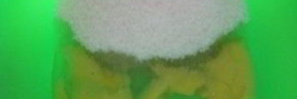 яблочная шарлотка в духовке