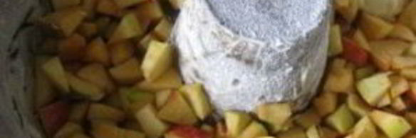 яблочная шарлотка в духовке