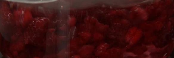 медовые сырники с малиновым морсом и двумя соусами