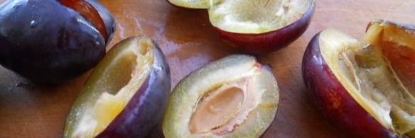 творожные сырники с тыквой и сливами