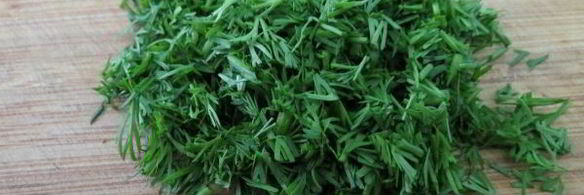 воздушные сырники с укропом в духовке