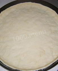 Дрожжевое тесто основа для пиццы в духовке