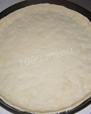 Дрожжевое тесто основа для пиццы в духовке