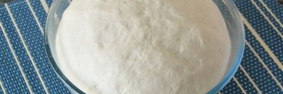 опарное дрожжевое тесто