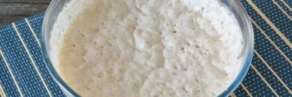 опарное дрожжевое тесто