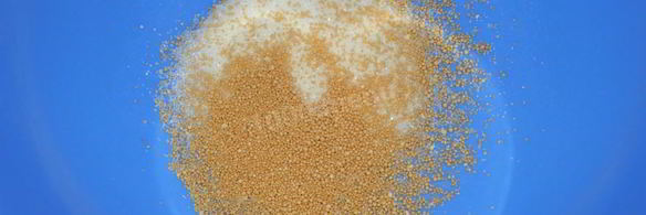 сдобное дрожжевое тесто для булочек