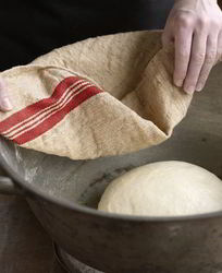 Тесто для пиццы на молоке