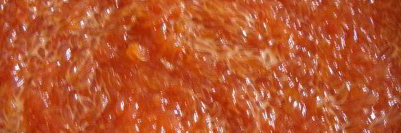 блинный торт свеча