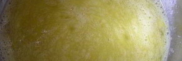 идеальный бисквит