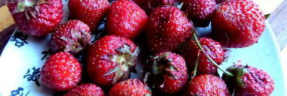 летний торт фрукты в желе