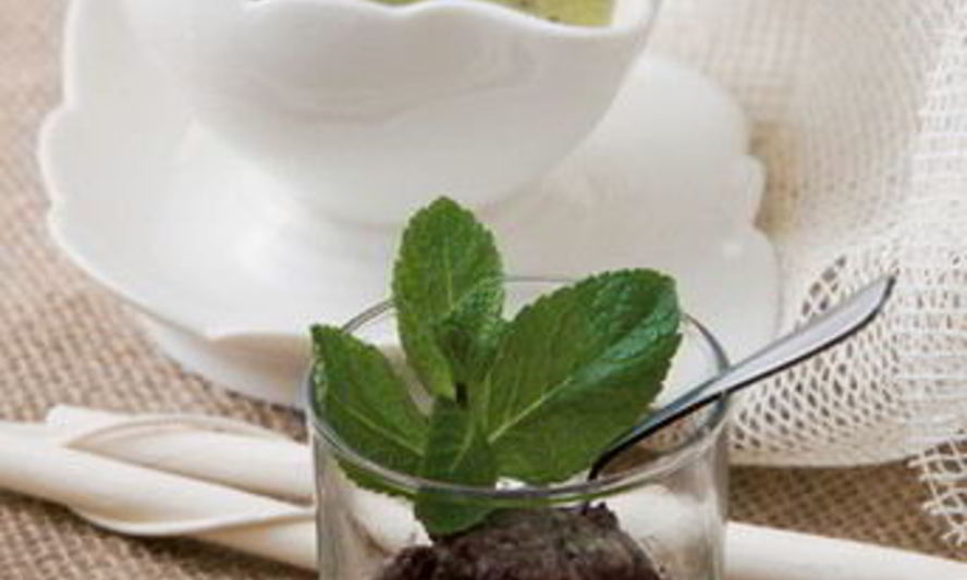 Рецепт шоколадного торта с муссом из киви