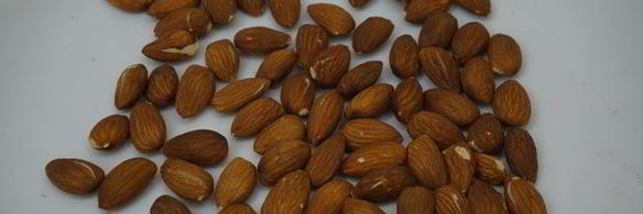 торт сказочный лес