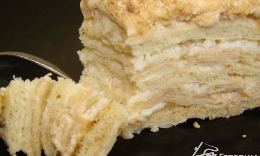 Рецепт торта слоено-медовый бородинское перемирие