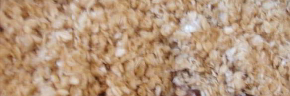 овсяная запеканка с соусом из киви и апельсина