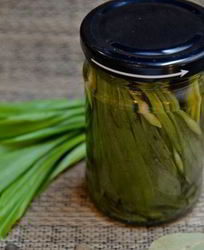 Черемша на зиму