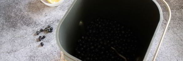 черничный джем в хлебопечке