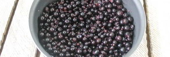 джем из черной смородины на зиму