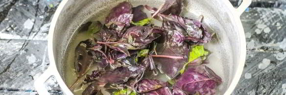 джем из красного базилика