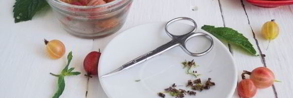 джем из крыжовника, лимона и мелиссы