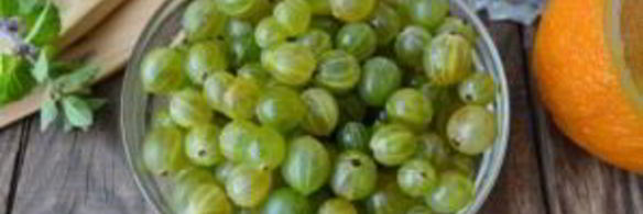 джем из крыжовника с апельсином на зиму