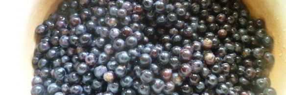 виноградно-сливовый джем