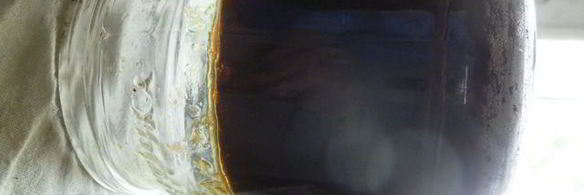 виноградно-сливовый джем