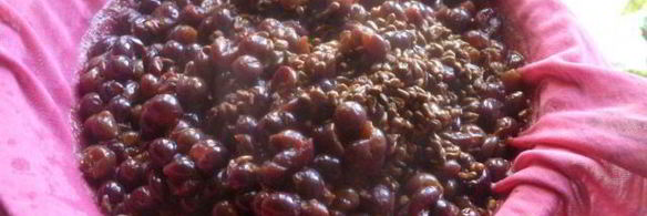 виноградно-сливовый джем