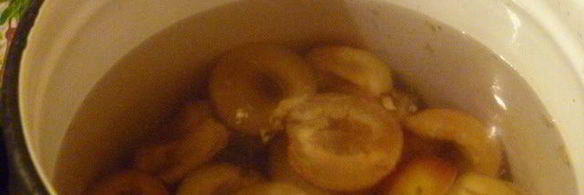 виноградно-сливовый джем