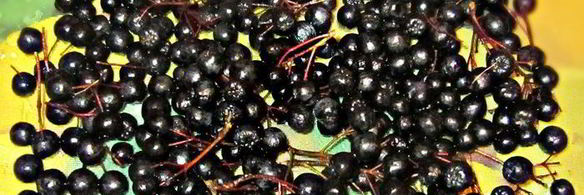 яблочный джем с черноплодной рябиной