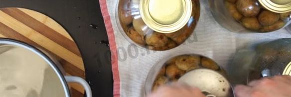 груши на зиму без стерилизации