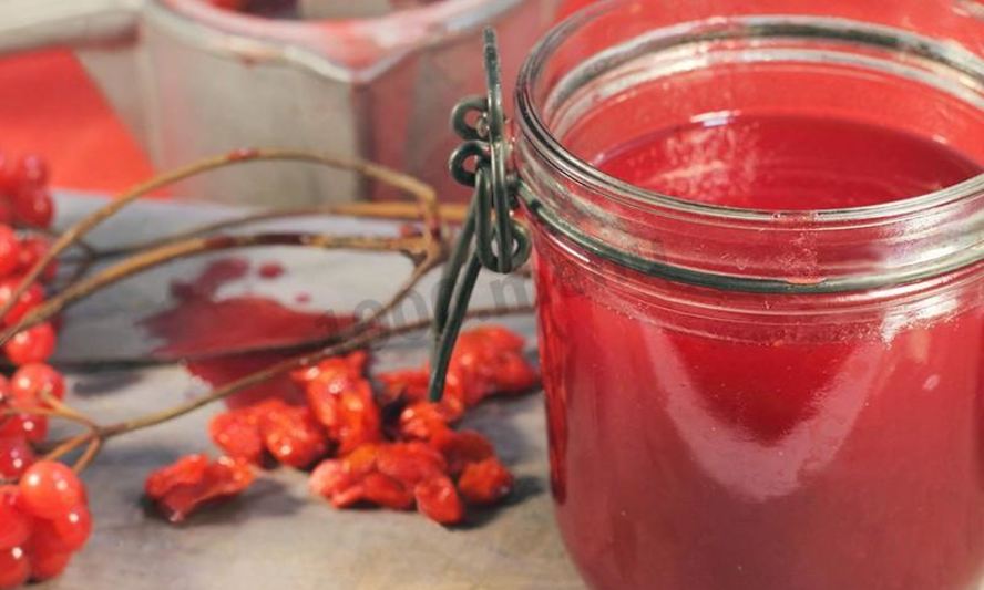 Рецепт калинового сока на зиму