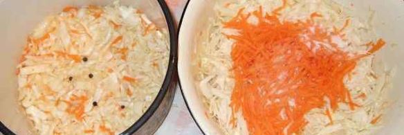 капуста квашеная