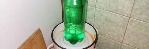 капуста квашеная