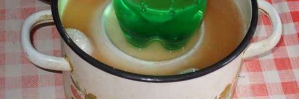 капуста квашеная